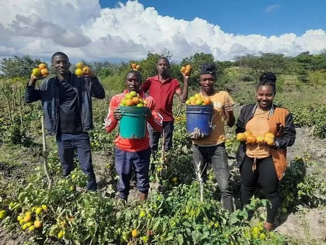 Farmers standing in a field holding buckets of freshly harvested produce